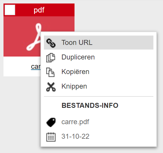 showfileurl.png