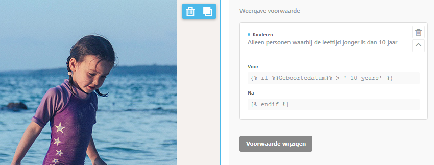 dynamische_content_BEE_editor_custom.png
